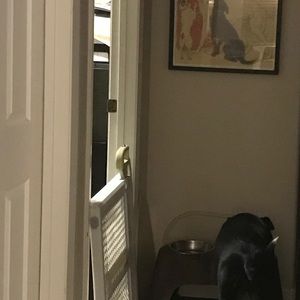 NOT FOR SALE! I’m Just Proud of My Cady🐕BabyGirl!